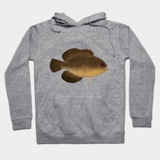 Bluespotted Sunfish Hoodie